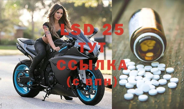 мяу мяу мука Бородино