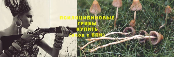 мяу мяу мука Бородино