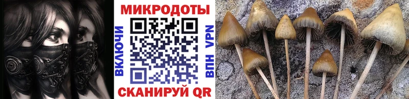 Псилоцибиновые грибы GOLDEN TEACHER  блэк спрут ссылки  Ворсма 