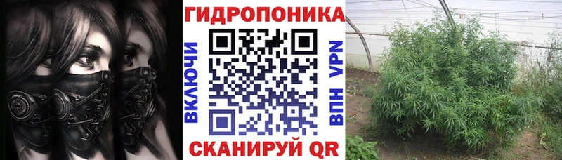 сколько стоит Ворсма Бошки Шишки Amnesia